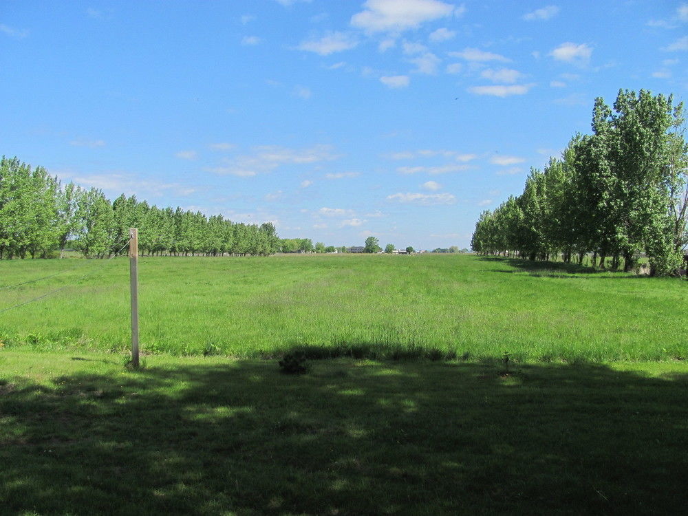 Niagara-on-the-Lake Countryside Bed & Breakfast المظهر الخارجي الصورة